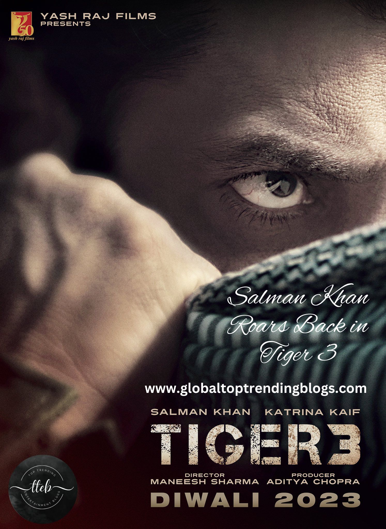 Salman Khan Roars Back as Tiger in the Thrilling Sequel, Tiger 3